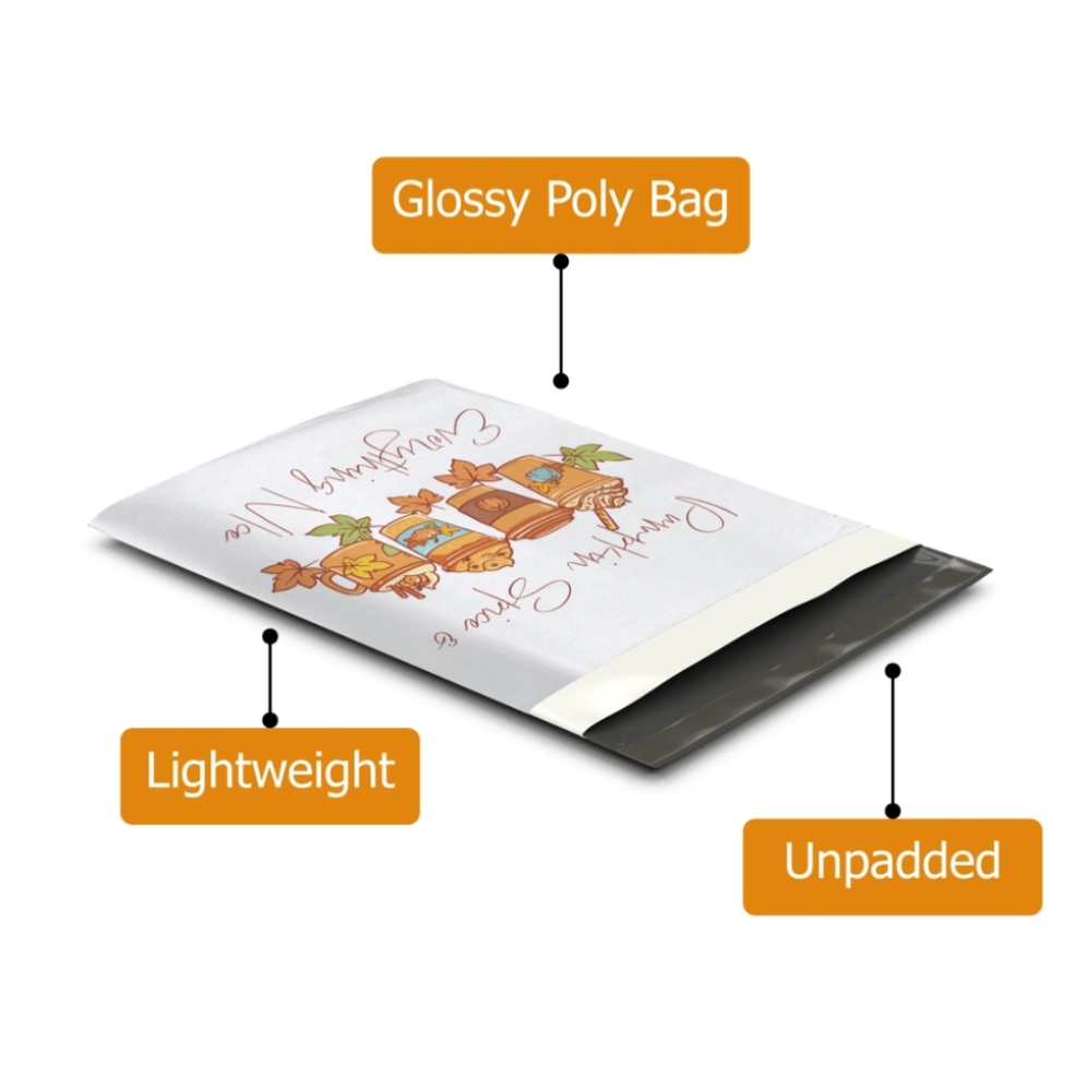 20 10X13 Pumpkin Spice Latte Poly Mailers - Picture 3 of 7